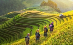 dịch vụ Transportation